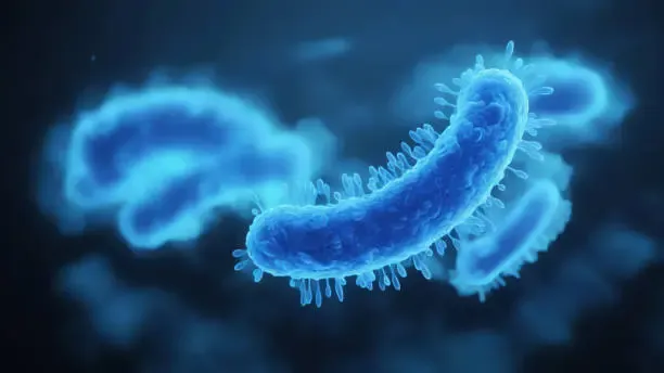 Bacteria and microorganisms that can cause stomach infections and cramps