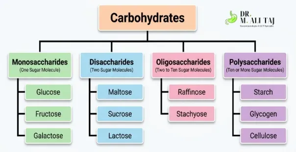 A flowchart diagram mapping the classification of carbohydrates into monosaccharides, disaccharides, oligosaccharides, and polysaccharides